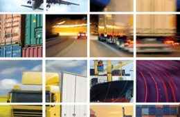 Image Title My Image